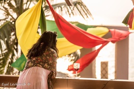 Goa Sunsplash 2016 | India's Biggest Reggae Festival